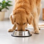 Comedouro Lento Para Cães e Gato 2,5 Litros - Branca - Imagem 2
