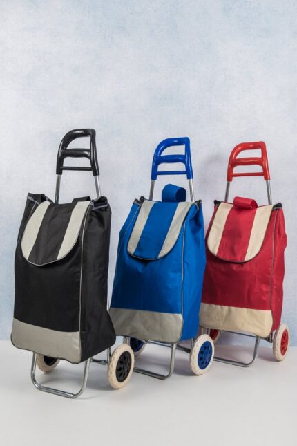 Carrinho de Feira Dobrável com Bolsa Sortida Lehavi - Estrutura Metálica e Rodas Grandes