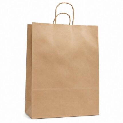 Kit 10 Sacolas Kraft Tamanho G Cor Parda - Papel Resistente para Embalagem